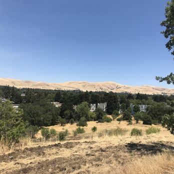Newhall Community Park - The view from the trail - Dog Parks Near Me - Concord, California