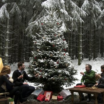 Walddie - Christmas Trees Near Me Walddie - Christmas Trees Near Me