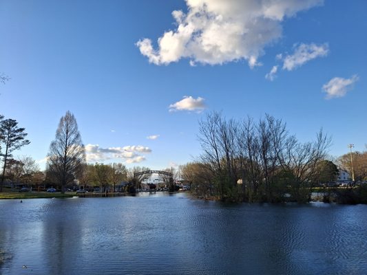 Avondale Park by null