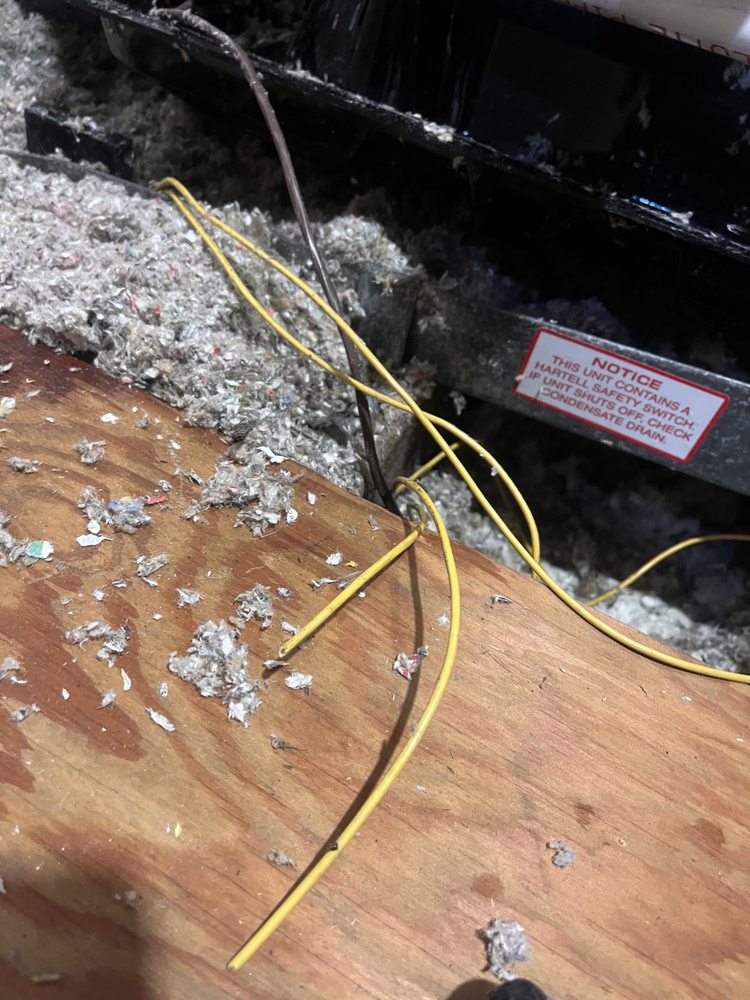 Slide of Boston Standard Company