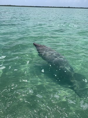 Reserva de la Biósfera Sian Ka'an by null