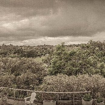 Maleny, Queensland - Local Flavor Near Me