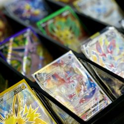Sumo Stars Collectibles - Eeveelution singles