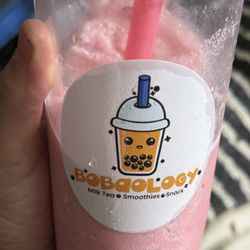 Bobaology - Dragon Fruit Shake