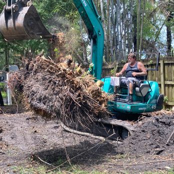 Dwayne Wilson's Tree Service - Tree Services Near Me Dwayne Wilson's Tree Service - Tree Services Near Me
