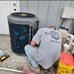 Premier Plumbing Patrol