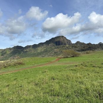 CJM Stables - Mahaulepu Beach Ride - Horseback Riding Near Me