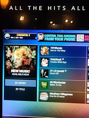 Fireside Bar by null