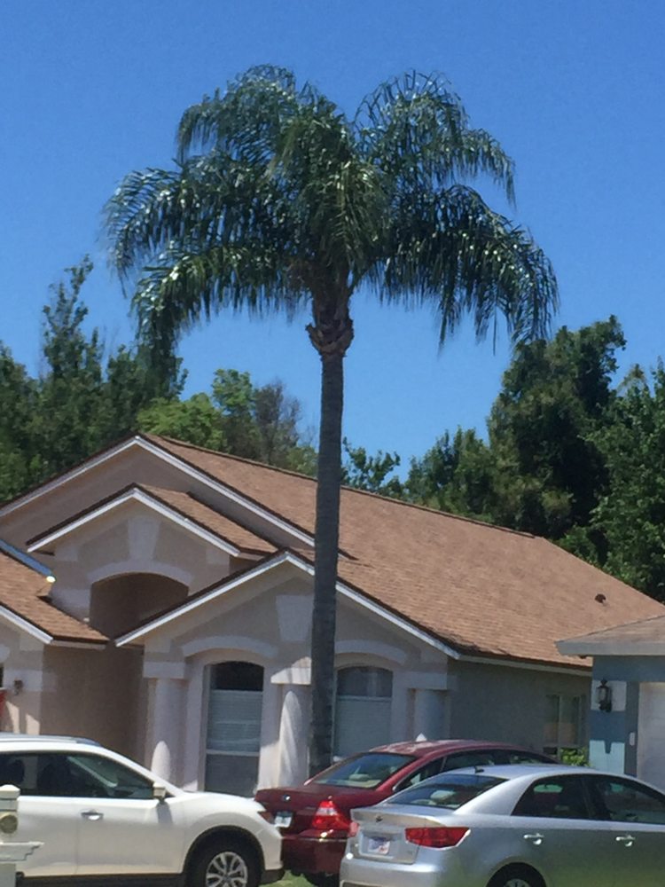 Slide of RoofClaim.com