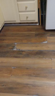 Carrell Rogers Carpet One Floor & Home