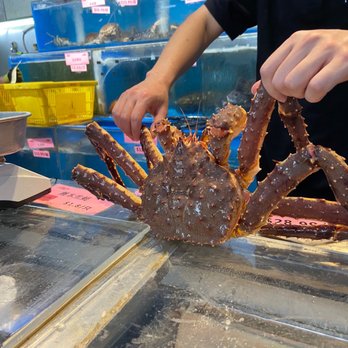 粤皇鼎海鲜会所 - Seafood Near Me - Point, New York 粤皇鼎海鲜会所 - Seafood Near Me - Point, New York