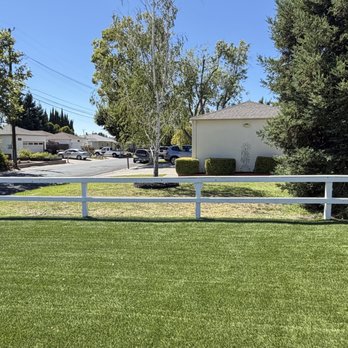 Go Green Cleaning & Construction - Our north facing side fence never look so good! - Gutter Services Near Me - Concord, California Go Green Cleaning & Construction - Our north facing side fence never look so good! - Gutter Services Near Me - Concord, California