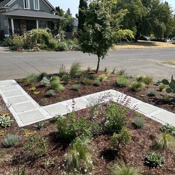 Wild Oasis Landscapes - Just two months later! - Landscaping Near Me Wild Oasis Landscapes - Just two months later! - Landscaping Near Me