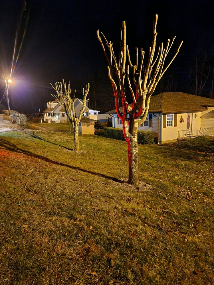 Tree Brothers - tree service in Clendenin, WV