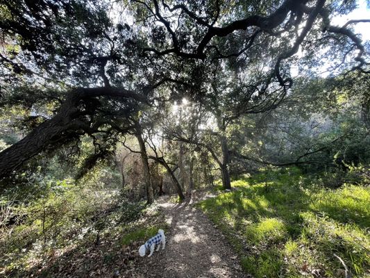Temescal Gateway Park, Mountains Recreation & Conservation Authority by null