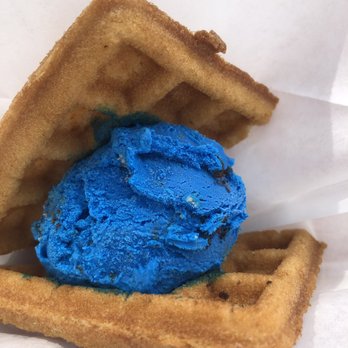 Novel Ice Cream - Cookie Monster ice cream sandwich - Desserts Near Me - Phoenix, Arizona Novel Ice Cream - Cookie Monster ice cream sandwich - Desserts Near Me - Phoenix, Arizona