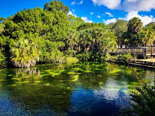 WALL SPRINGS PARK Updated June 2024 180 Photos & 46 Reviews 3725