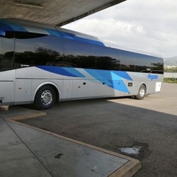 Central de Autobuses - Autobús de la línea pegasso