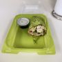 Photo of Salata