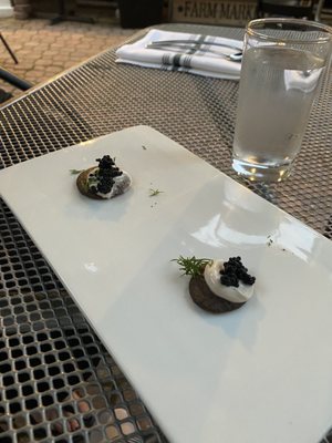 Fancy Plants Kitchen by null