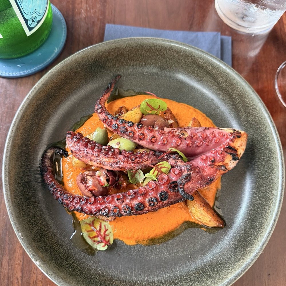 L'Ardente - Polpo - Italian Near Me - Washington, DC, District of Columbia
