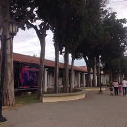 Paseo San Carlos