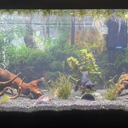 The Fish Crew