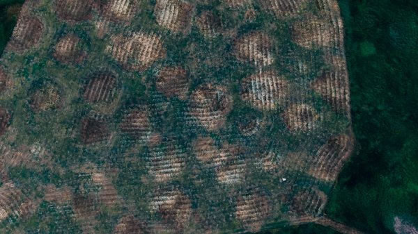 Knife River Indian Villages National Historic Site by null
