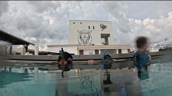 Army Special Forces Underwater Operations Freediving Course - This Freediving Course was offered to the Army Special Forces Underwater Operations Instructors in Key West by Tracy Wollschlager. Army Special Forces Underwater Operations Freediving Course - This Freediving Course was offered to the Army Special Forces Underwater Operations Instructors in Key West by Tracy Wollschlager.