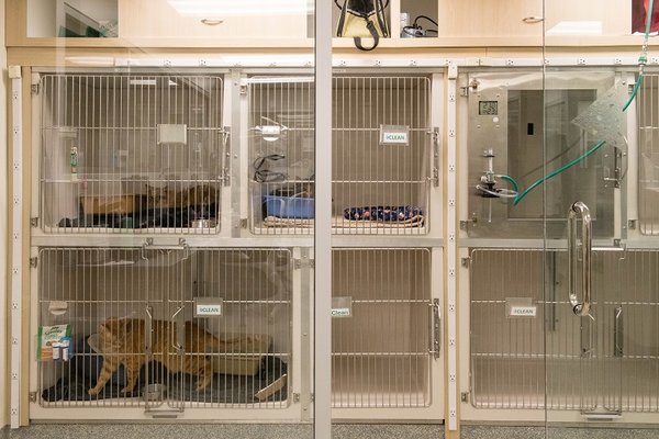 West Village Veterinary Hospital by null