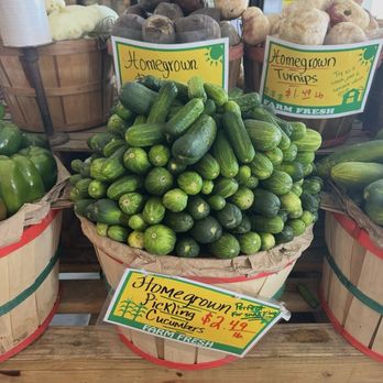 The Berry Patch - Produce - Ice Cream & Frozen Yogurt Near Me - Ellerbe, North Carolina The Berry Patch - Produce - Ice Cream & Frozen Yogurt Near Me - Ellerbe, North Carolina