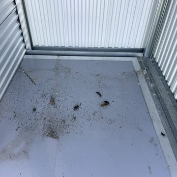 Extra Space Storage - Dead rodents - Self Storage Near Me - Oxnard, California