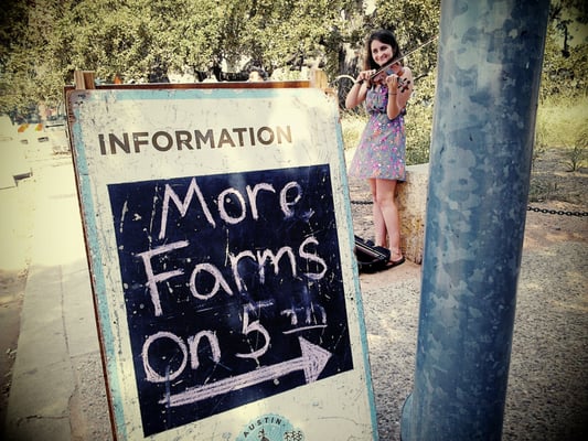 SFC Farmers' Market Downtown by null