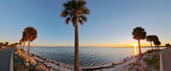 Hobie Island Beach by null
