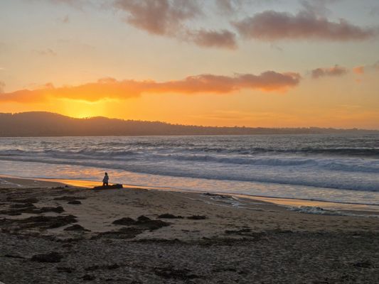 Monterey Beach Hotel, a Tribute Portfolio Hotel by null