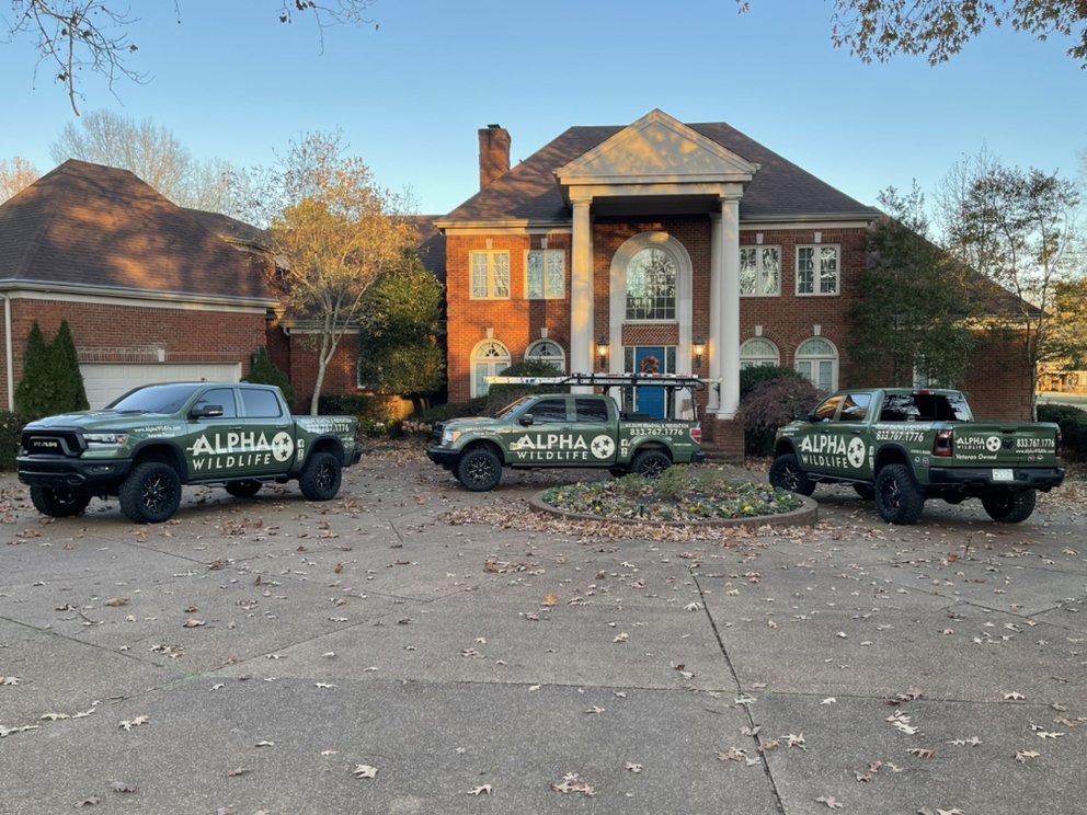 Alpha Wildlife Knoxville - veterans service organization in Knoxville, TN