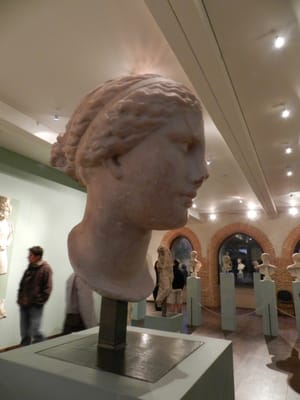 Musée Saint-Raymond by null