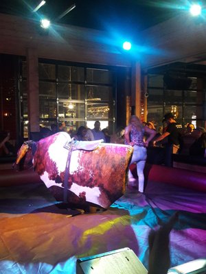 PBR Texas: A Coors Banquet Bar by null