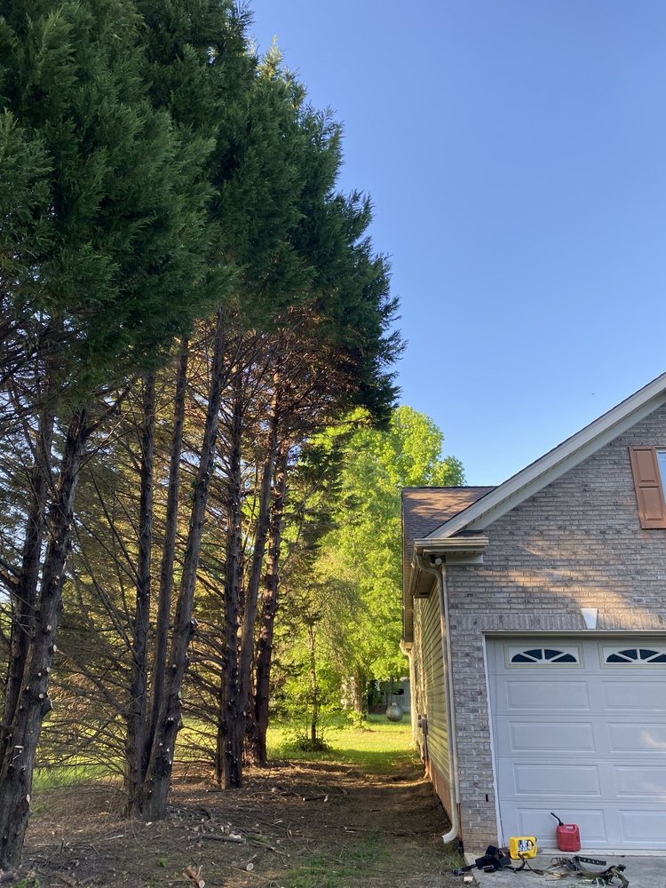 Diesel tree service - veterans service organization in Charlotte, NC