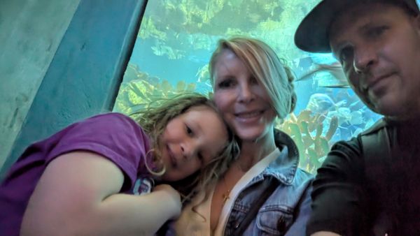New England Aquarium by null