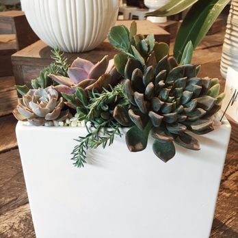 Rolling Greens - Cute package - Home Decor Near Me - Los Angeles, California Rolling Greens - Cute package - Home Decor Near Me - Los Angeles, California