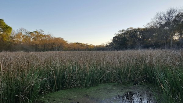 George Observatory by null