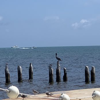 Seaside Cafe - Beautiful - Pizza Near Me - Key West, Florida Seaside Cafe - Beautiful - Pizza Near Me - Key West, Florida