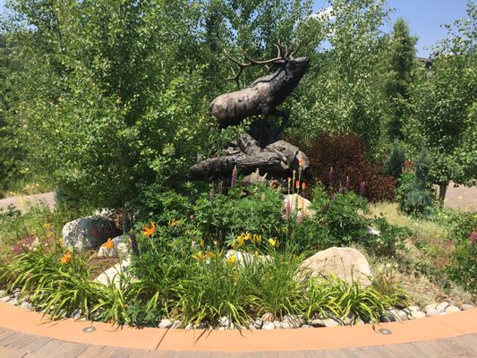 Foxglove Custom Plantscapes