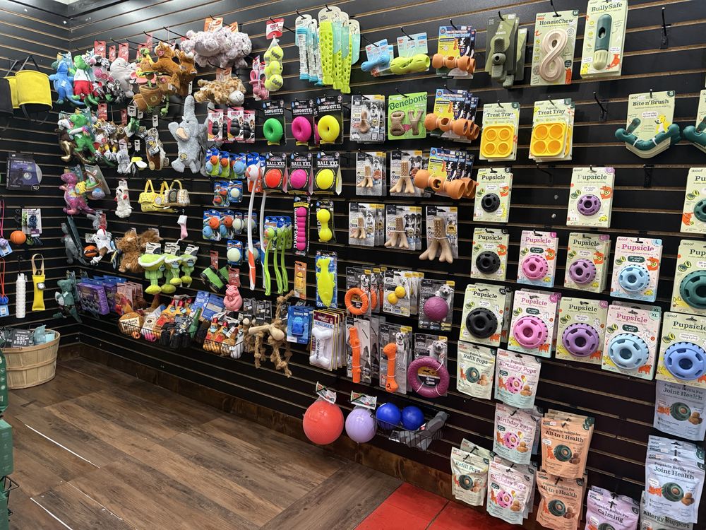Canine Concepts - pet boarding facility in Nashville, TN