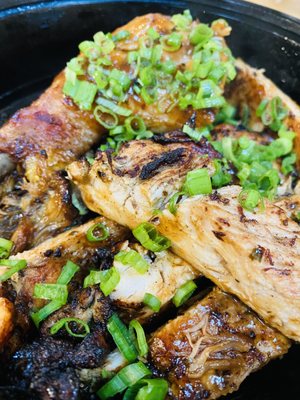 The Calypso Rose by null