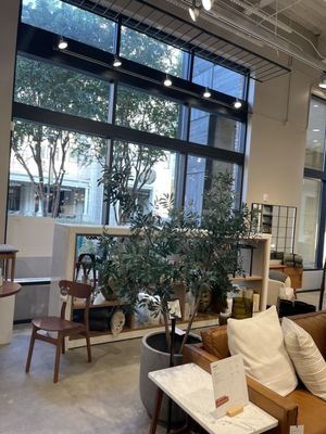 west elm by null