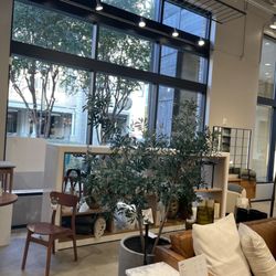 west elm