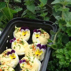 Deviled Eggs