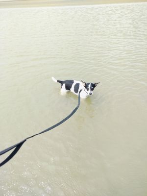 Sea Rim State Park by null